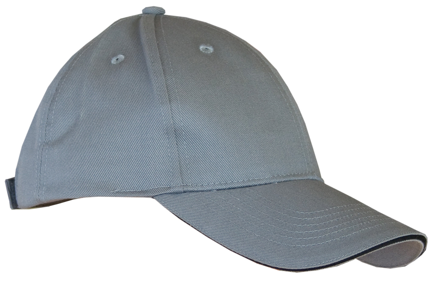 Carson Contrast Sandwich Cap